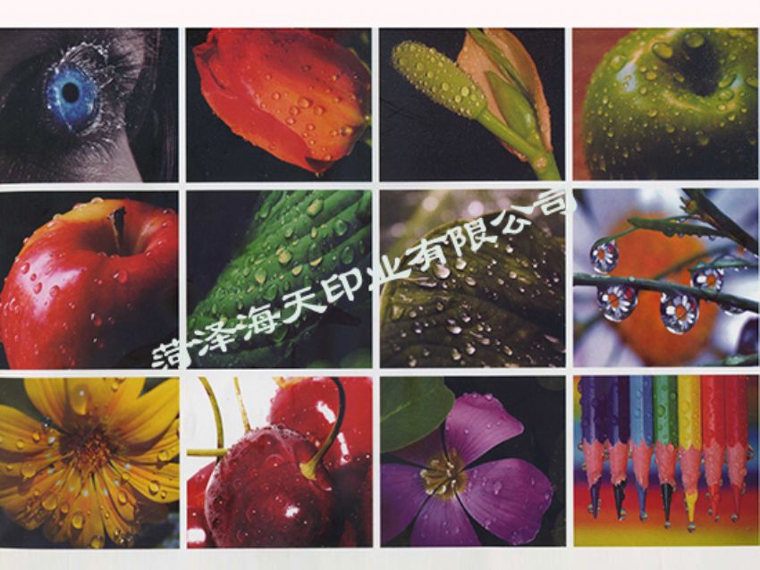 點(diǎn)擊查看詳細(xì)信息<br>標(biāo)題：食品紅酒標(biāo)簽09 閱讀次數(shù)：2351